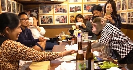 日本の居酒屋、バナナで猿を雇用