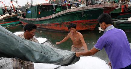 台風13号「ハト」が過ぎ去り　瓊海の漁師が漁を再開