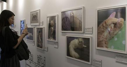 「我が家のにゃんこ展」、香港で開催