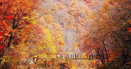 美しい中国　秋の景色が色鮮やかに染め上げられ