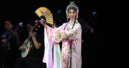 「魅力的な中国」全米ツアー、ロサンゼルスで公演