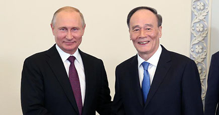 ロシアのプーチン大統領、王岐山副主席と会見
