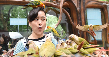 重慶動物園「オウム苑」が一般公開　人と鳥がたわむれる憩いの場を提供