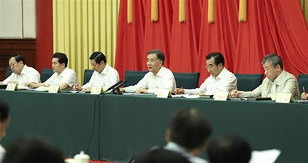 汪洋氏、全国政協系統の共産党建設活動に関する座談会に出席