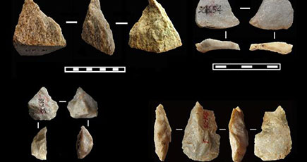 アフリカ大陸から陜西省藍田へ　古代人類の拡散に残る謎