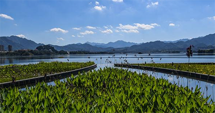 グリーン産業の発展で青い湖を守る　千島湖
