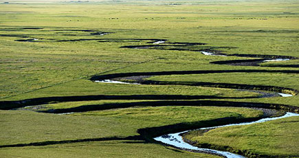 美しい風景が広がる内モンゴル自治区の乃林高勒
