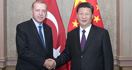 習近平主席、トルコのエルドアン大統領と会見