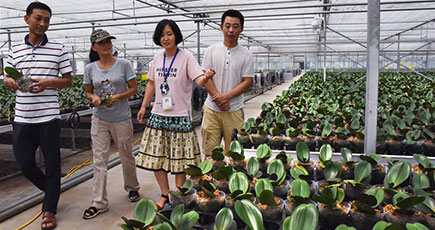 山東省、科学技術特派員が農村振興をサポート