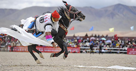 チベット自治区ガリ地区で馬術大会が開催