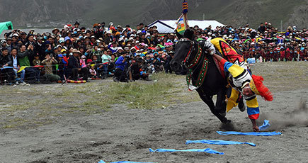 馬術チームが「馬文化」を農村へ伝える　チベット自治区