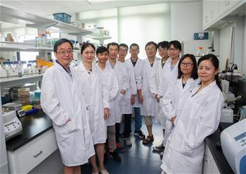 中国の研究チーム、世界初の人工単一染色体真核細胞を生成