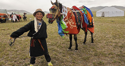 草原を駆け回り収穫を祝う牧畜民　チベット自治区ゲルツェ県
