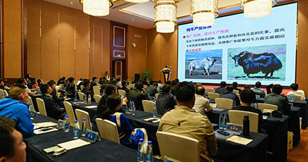 チベット自治区、第１回ヤク産業発展サミットフォーラム開催