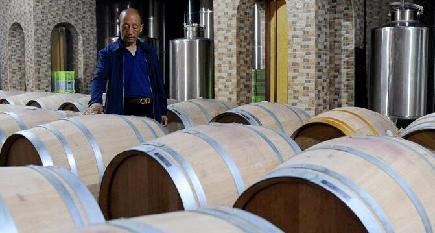 ワイン産業が増収を後押し　寧夏回族自治区呉忠市