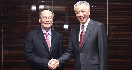 王岐山副主席、シンガポールのリー・シェンロン首相と会見