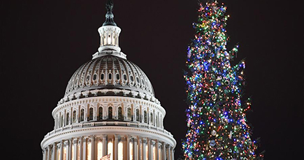 米連邦議会議事堂前でクリスマスツリー点灯式　ワシントン