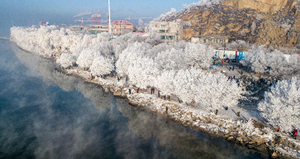 松花江河畔に輝く樹氷並木　吉林省吉林市