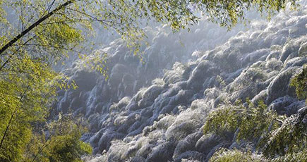 大別山の「竹の海」、一面の雪景色　安徽省霍山県
