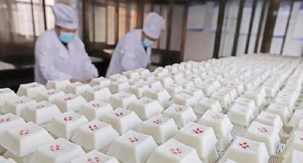 年末の餅加工工場は大忙し　江蘇省海安市