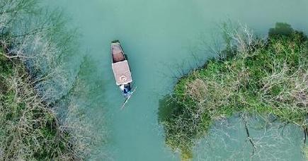 遊覧船から新緑の湿地を楽しむ　浙江省杭州市