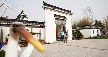 北京園芸博、中華園芸展示エリアを訪ねて