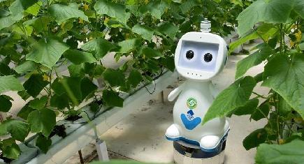 福建省初のＡＩ・５Ｇ農業用ロボット、ハウスの巡回点検に投入