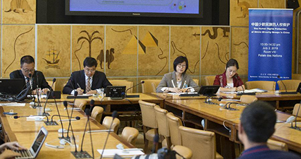中国人権研究会、国連で「中国少数民族の人権保護」会議を開催