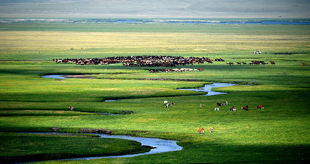 夏を迎えたシリンゴル大草原　内モンゴル自治区