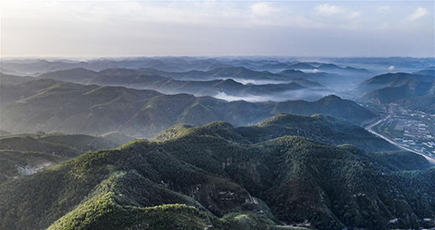 緑に包まれた安塞の山々　陝西省延安市