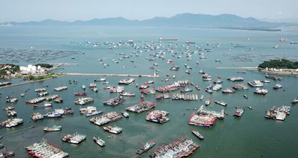 南中国海で漁解禁　広東省陽江市