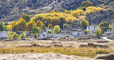 秋色の楚布溝　チベット自治区ラサ市