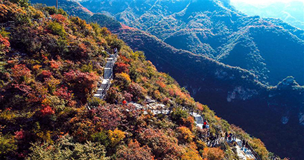 ダイナミックな大峡谷の紅葉が見頃に　河北省渉県