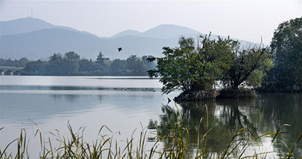 緑の山に囲まれ湖を抱く都市　江蘇省徐州市