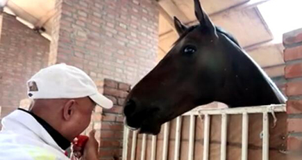 【映像】中国庶民の物語　馬と話す者