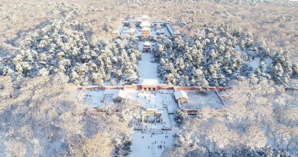 雪化粧した公園で楽しむ冬景色　遼寧省瀋陽市