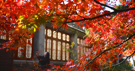 紅葉の季節を楽しむ人々　江西省廬山風景区