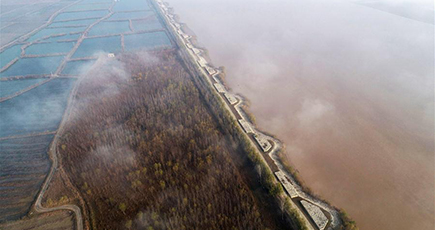 朝霧立ち込める黄河湿地　陝西省大茘県