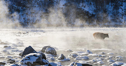 神秘の「不凍河」　内モンゴル自治区