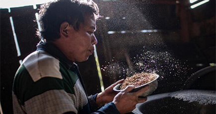 「バードウォッチングエコノミー」が貧困脱却を後押し　雲南省瀘水市