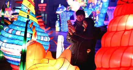 山東省臨沂市に鮮やかなランタンがお目見え　早くも春節ムードに