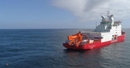 中国、コスモノート海で海洋生態系調査を初めて実施