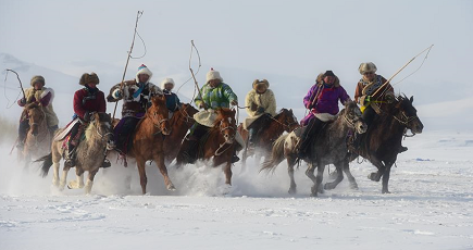 冬の草原を疾走する馬　内モンゴル自治区