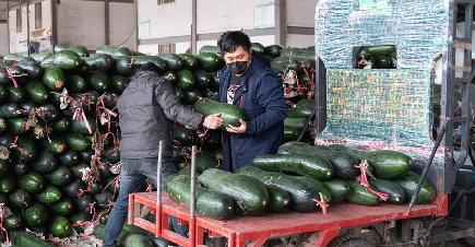 野菜の安定供給で庶民の食生活を守る　湖南省長沙市