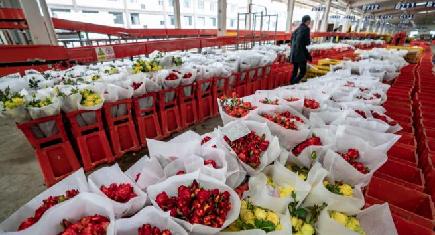 アジア最大の生花市場、競り再開　雲南省昆明市