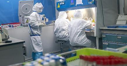 ２４時間態勢でウイルス検査　武漢の核酸検査実験室