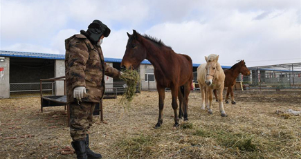 パトロール騎兵隊、村で感染対策支援　内モンゴル自治区