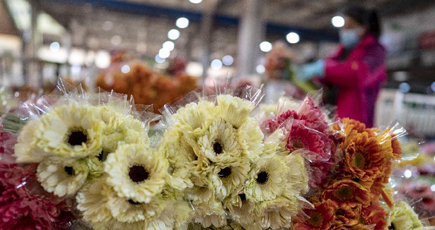 アジア最大の生花市場、対面取引を再開　雲南省昆明市