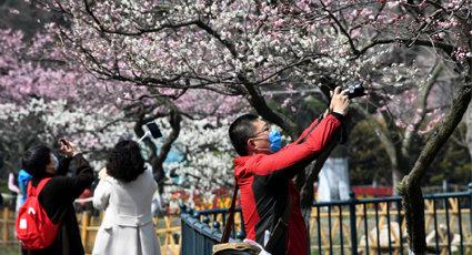 公園で春を満喫　山東省青島市