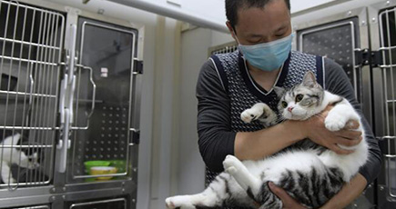 動物病院でペットを守り続ける獣医師　湖北省武漢市